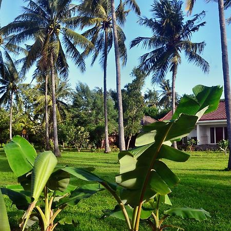 Amigos Bungalows غيلي مينو المظهر الخارجي الصورة