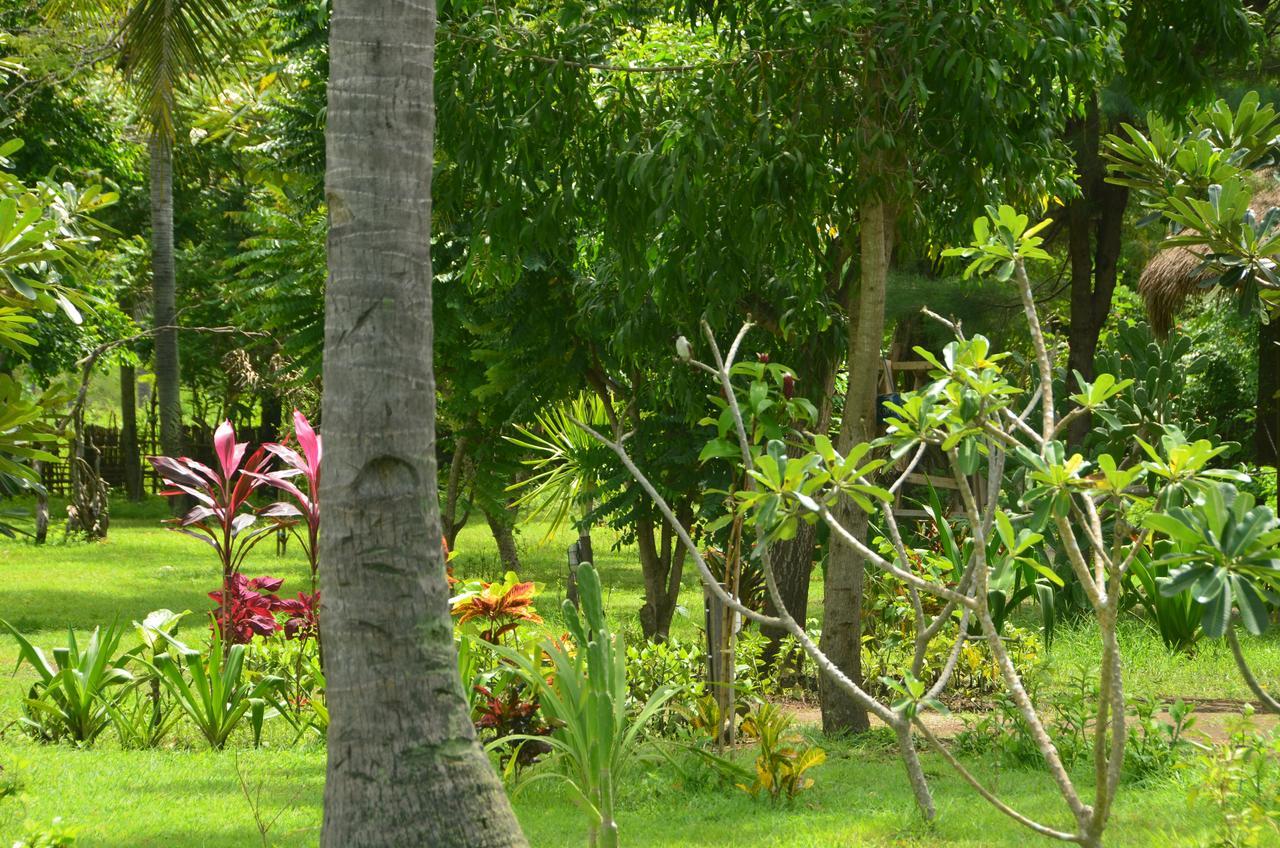 Amigos Bungalows غيلي مينو المظهر الخارجي الصورة