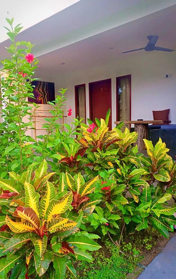 Amigos Bungalows غيلي مينو المظهر الخارجي الصورة